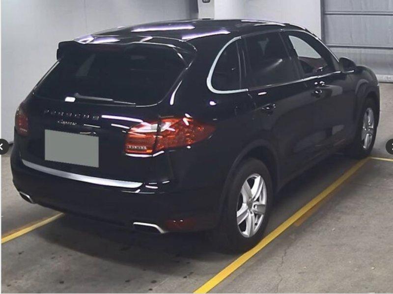 Фото донора 4