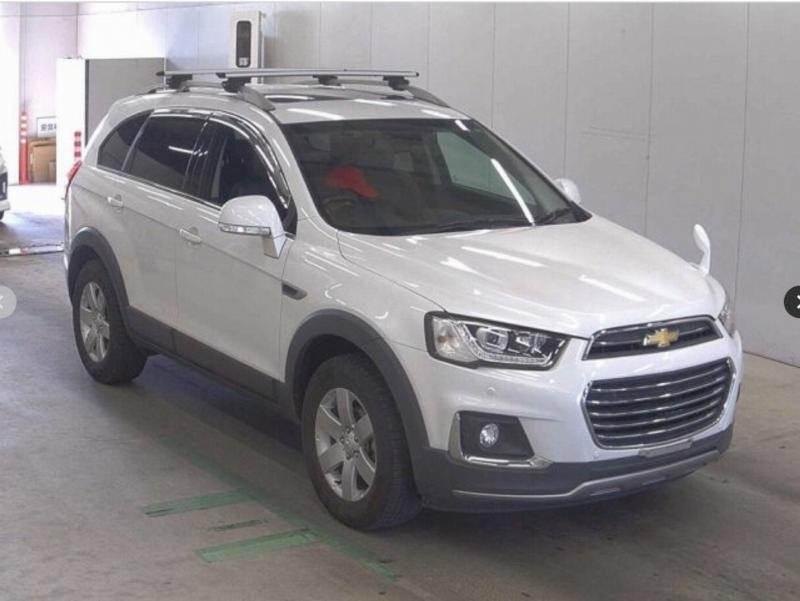 Фото донора 1