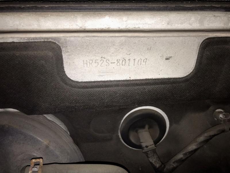 Фото донора 5