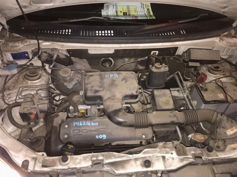 Фото донора 6