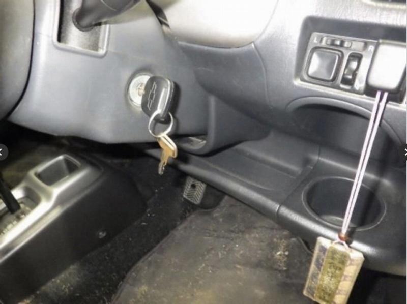 Фото донора 8