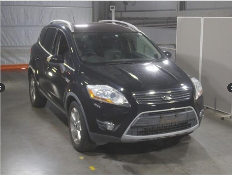 Фото донора 1