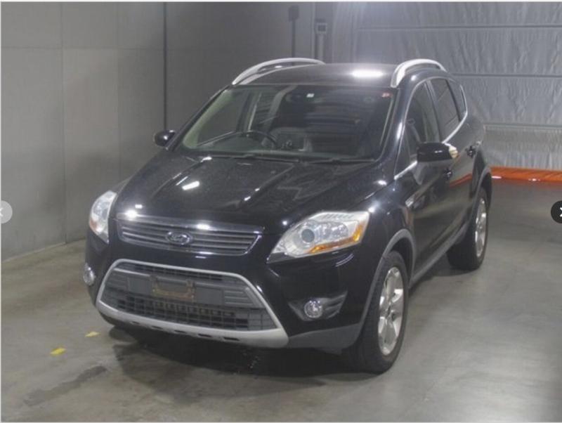 Фото донора 3