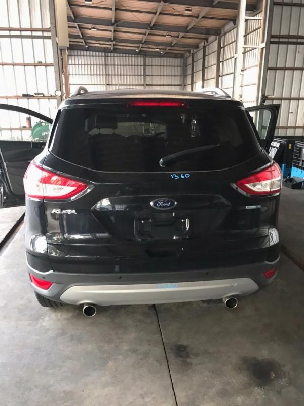 Фото донора 4