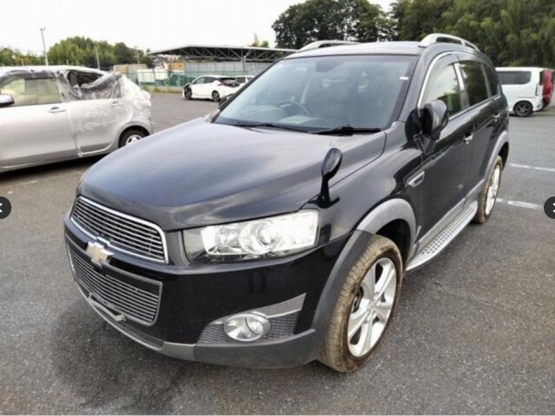 Фото донора 3