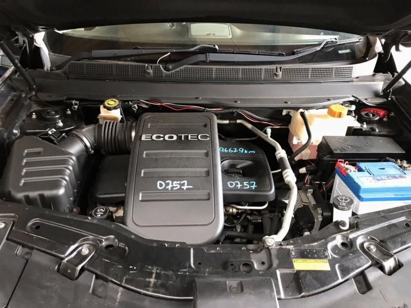 Фото донора 8