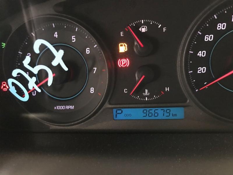 Фото донора 11