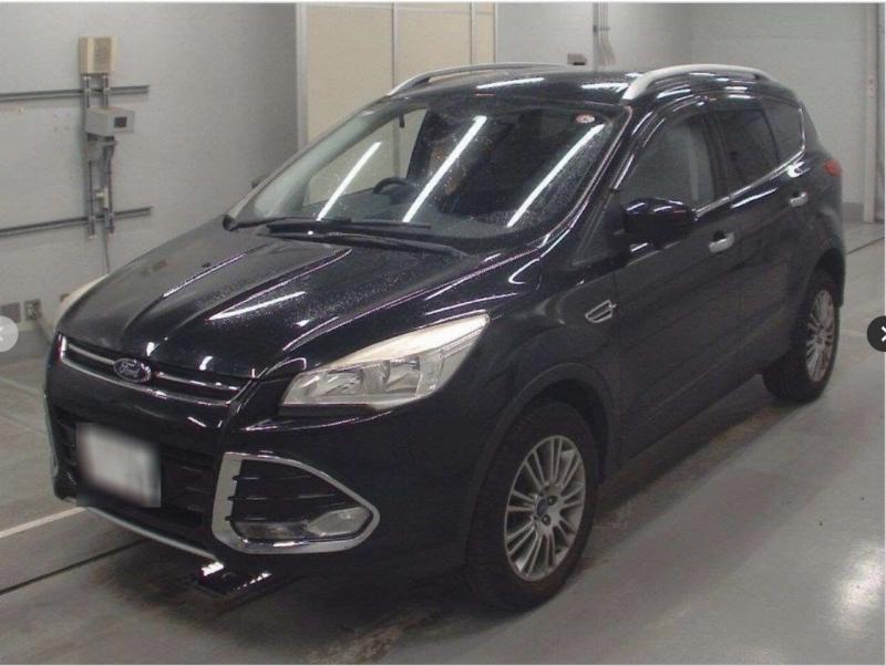 Фото донора 1