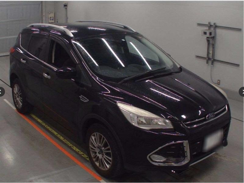 Фото донора 3