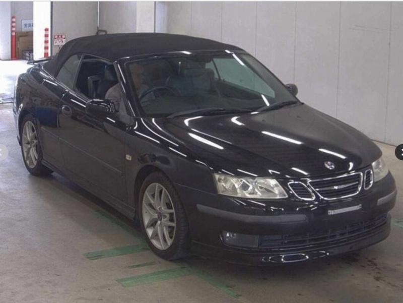 Фото донора 13