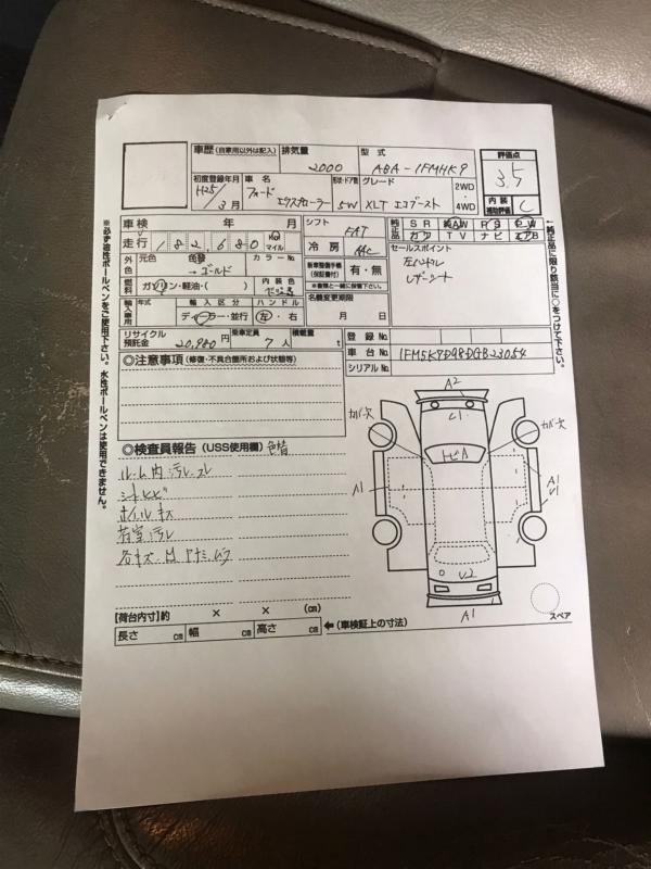 Фото донора 2