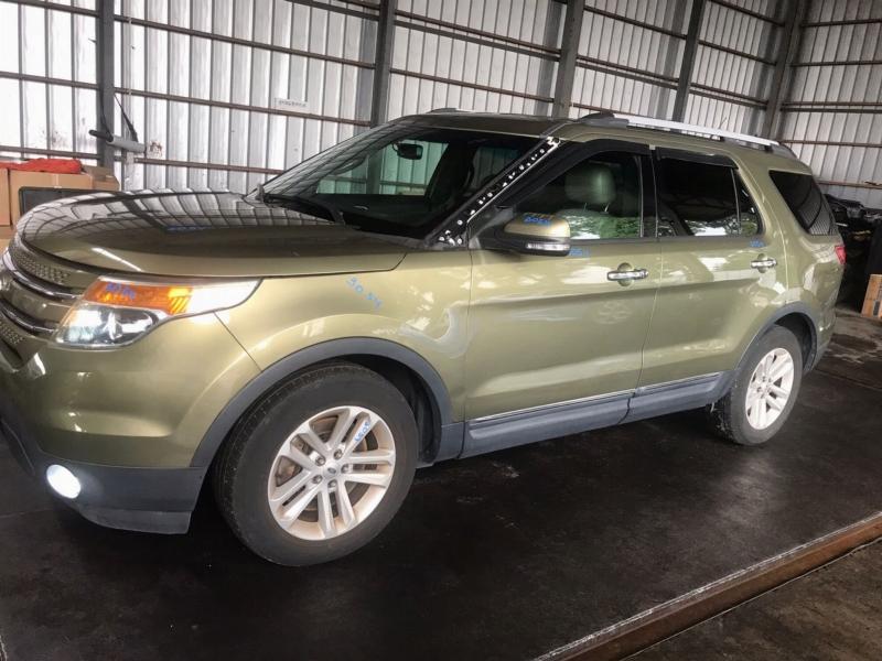 Фото донора 4