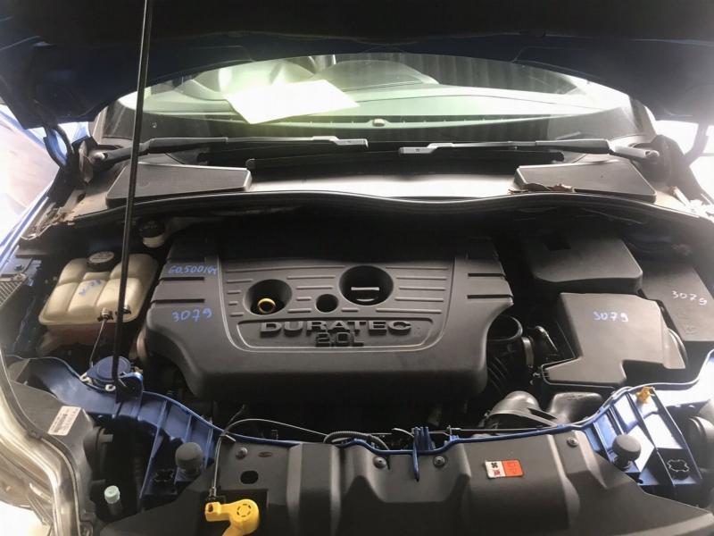 Фото донора 6