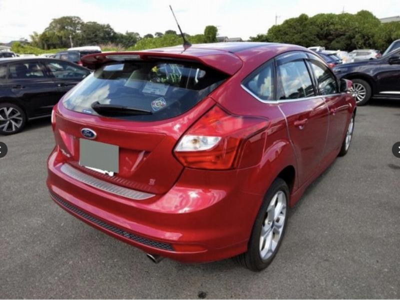 Фото донора 4