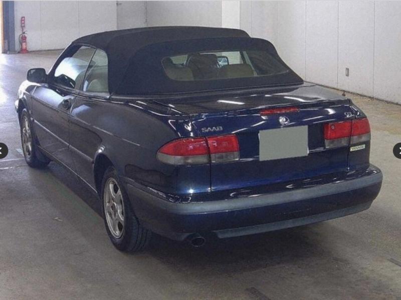 Фото донора 4