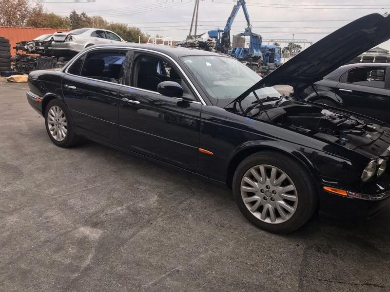 Фото донора 7