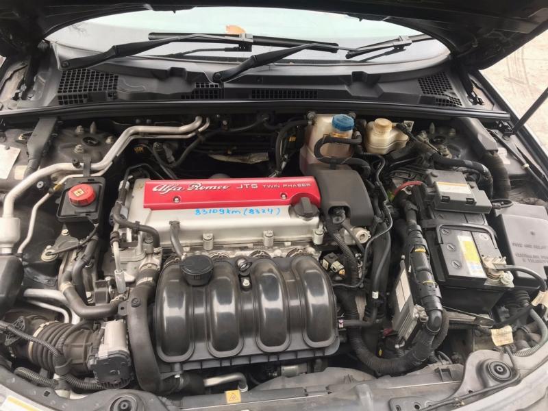 Фото донора 13