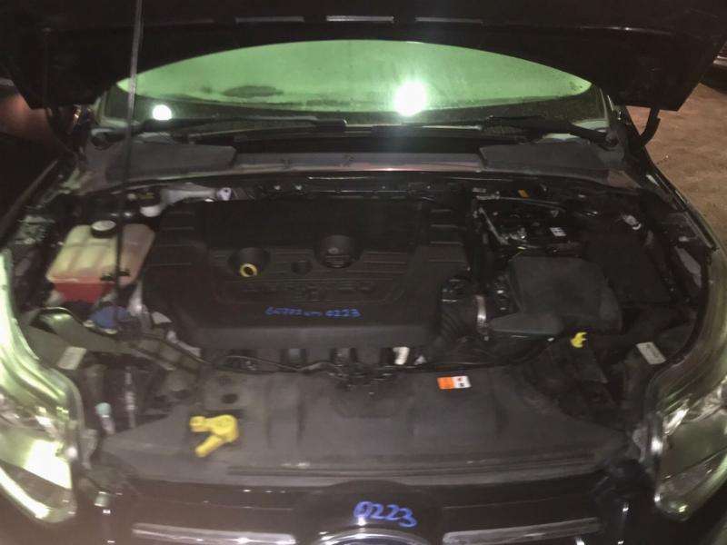 Фото донора 6