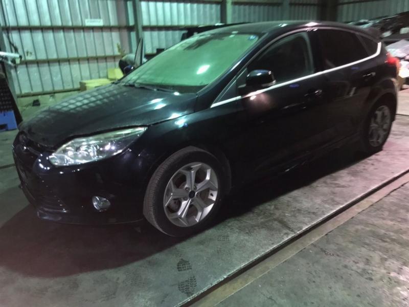 Фото донора 7