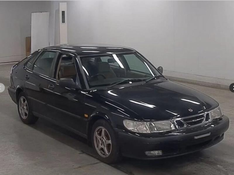 Фото донора 3