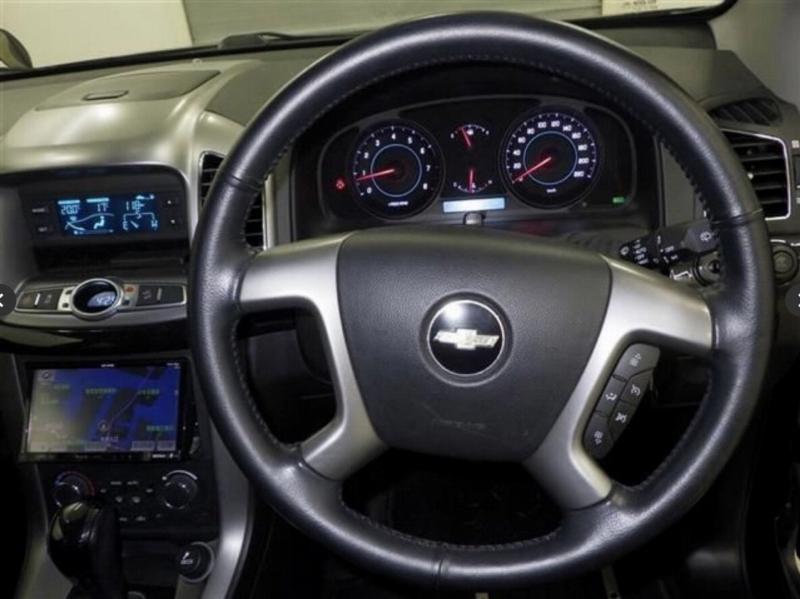 Фото донора 7