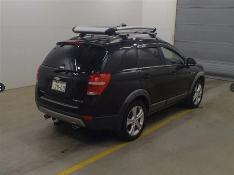 Фото донора 5