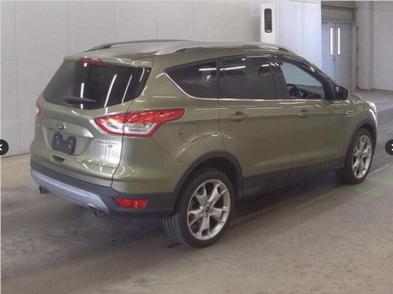 Фото донора 5