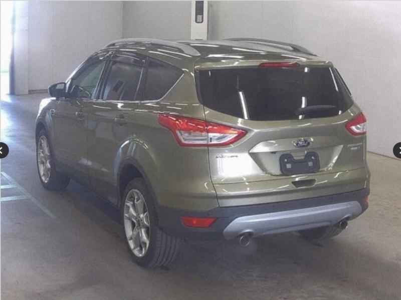 Фото донора 4