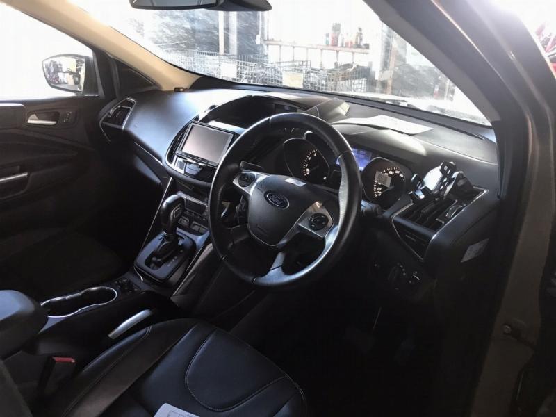 Фото донора 9