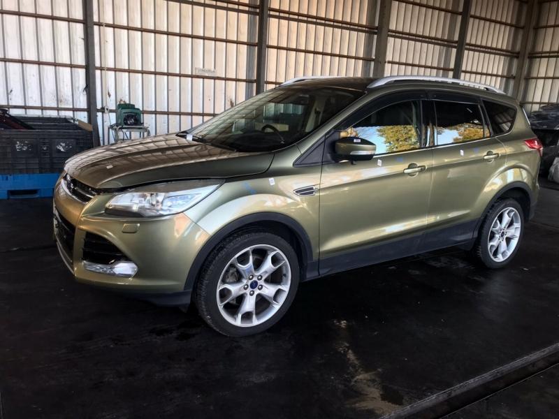 Фото донора 13