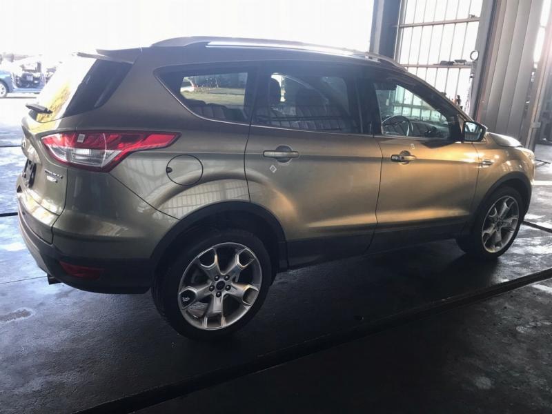 Фото донора 14