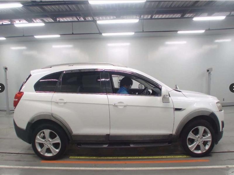 Фото донора 4