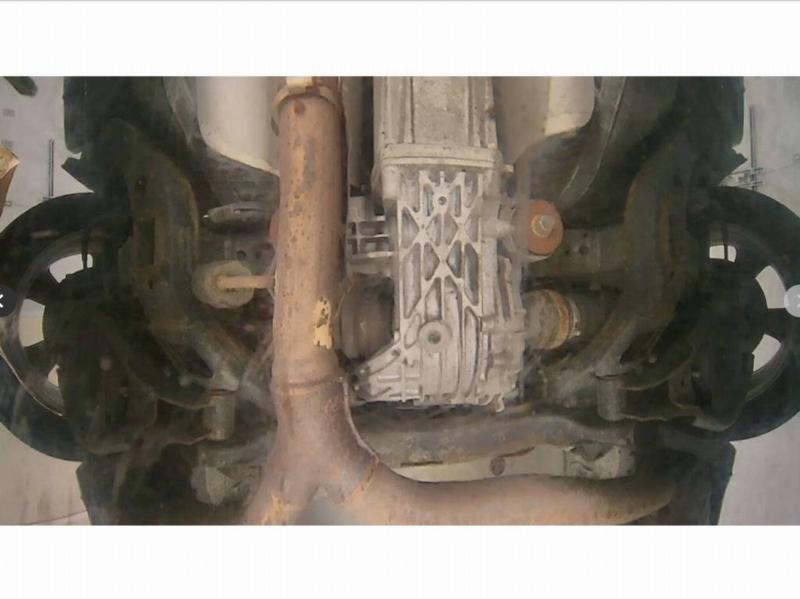 Фото донора 12