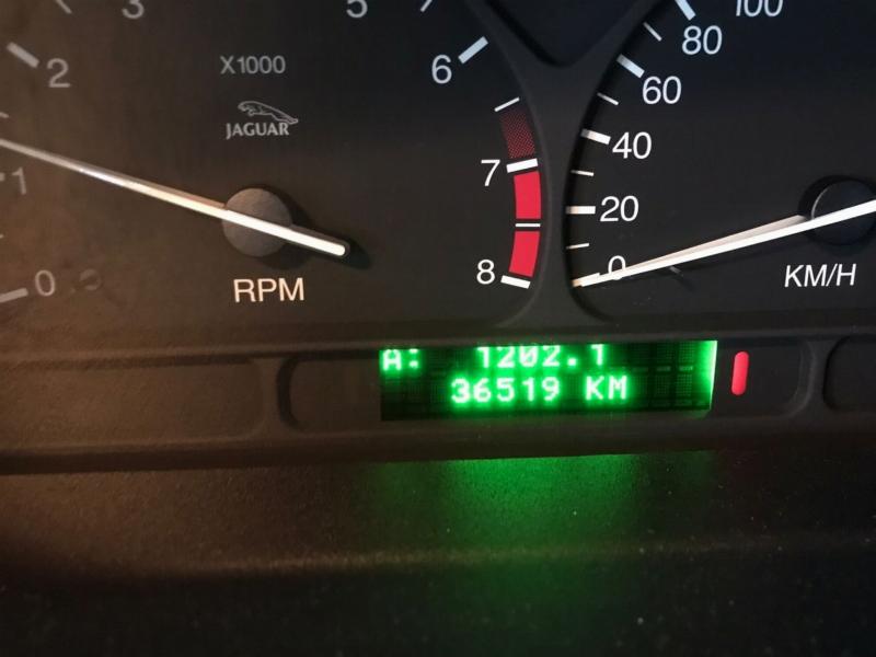 Фото донора 6