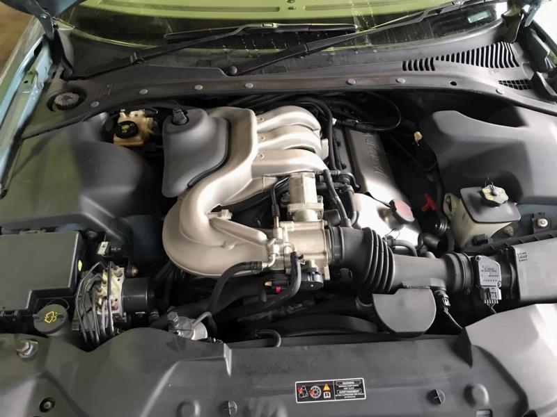 Фото донора 11