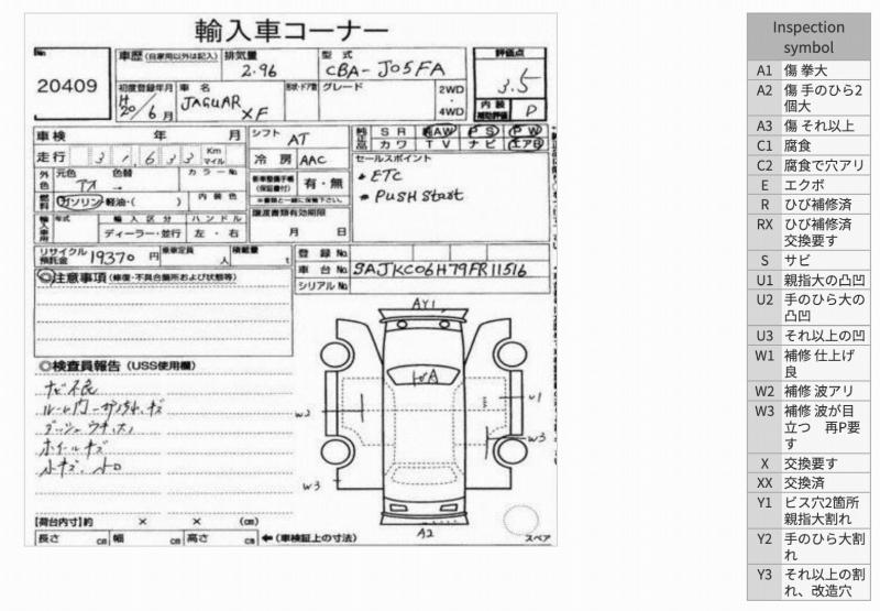 Фото донора 2