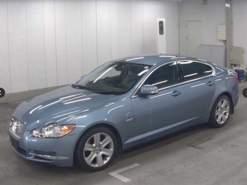 Фото донора 3