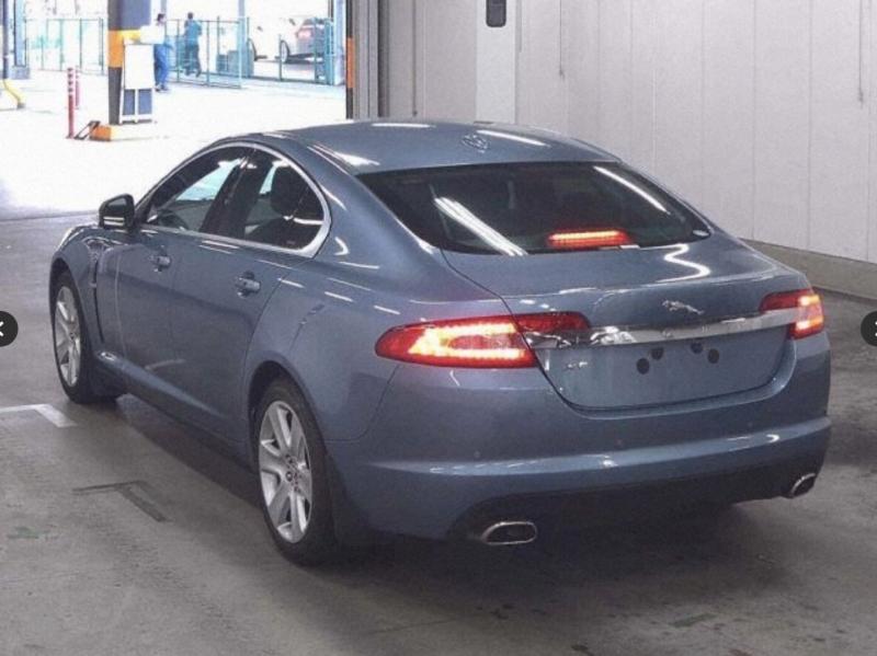 Фото донора 4