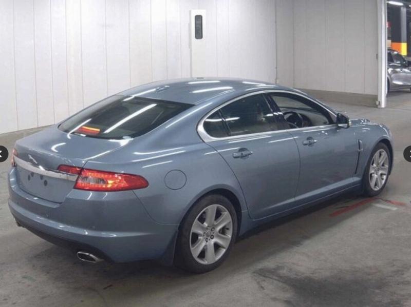 Фото донора 5