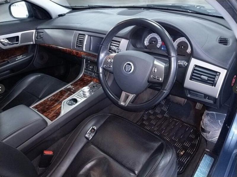 Фото донора 6