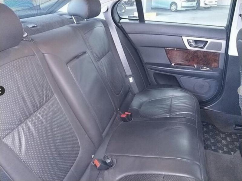 Фото донора 7