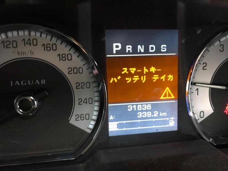 Фото донора 8