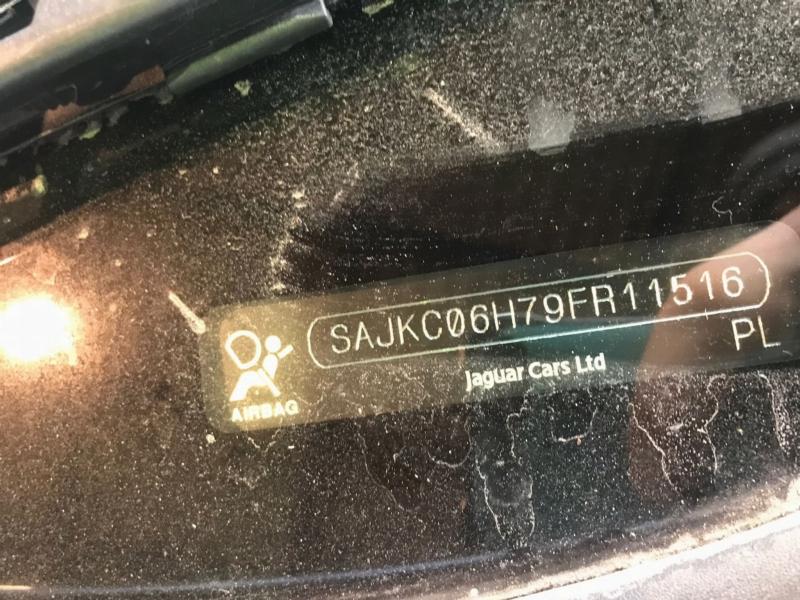 Фото донора 12