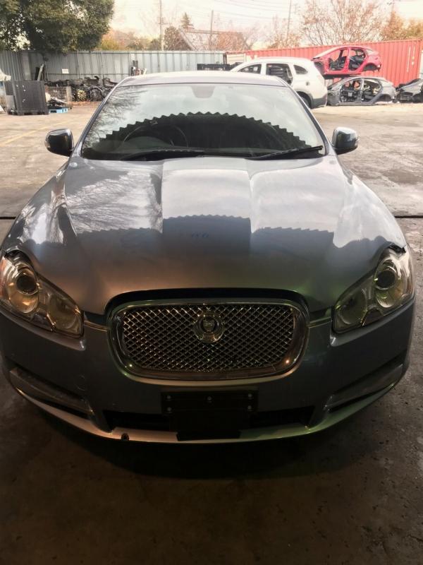 Фото донора 14