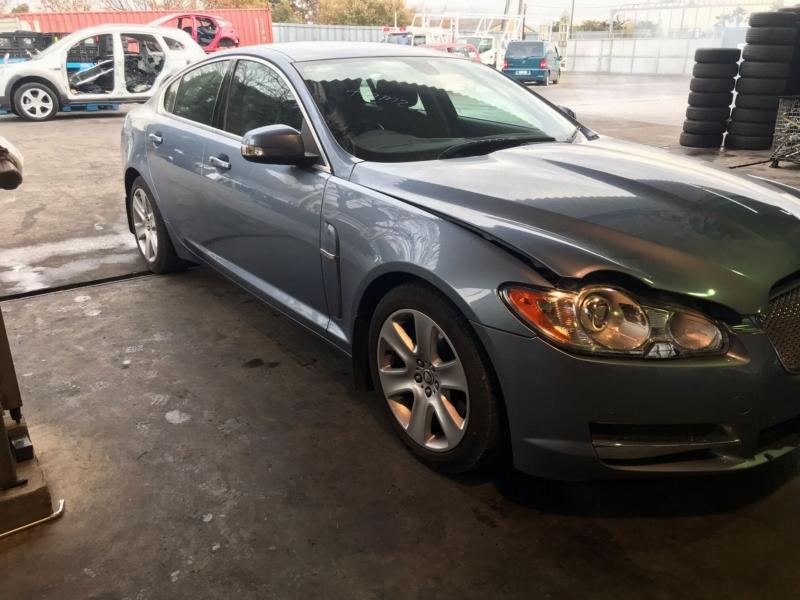 Фото донора 15