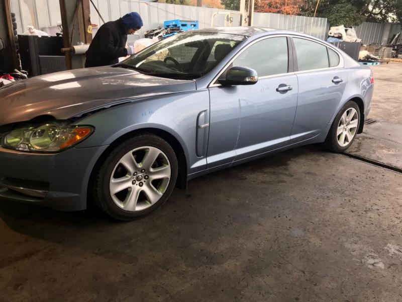 Фото донора 16