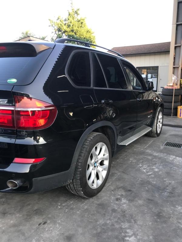 Фото донора 7