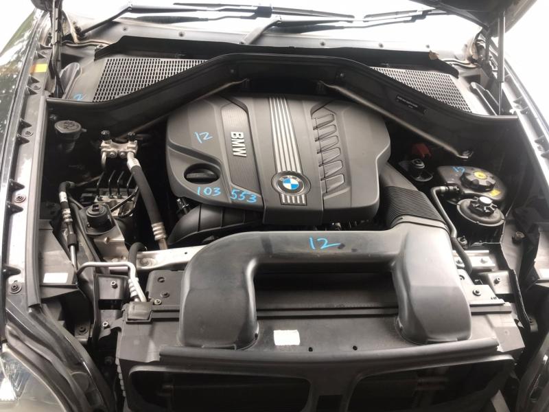 Фото донора 12