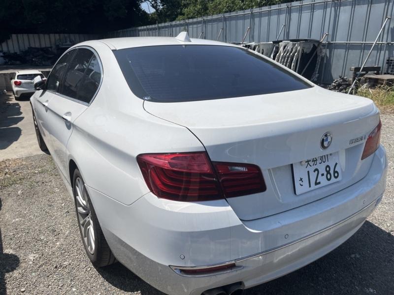 Фото донора 4