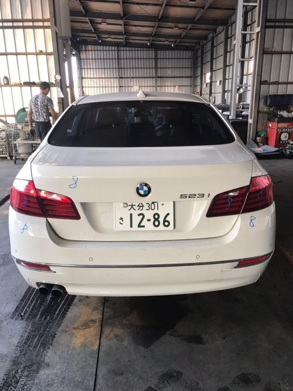 Фото донора 5